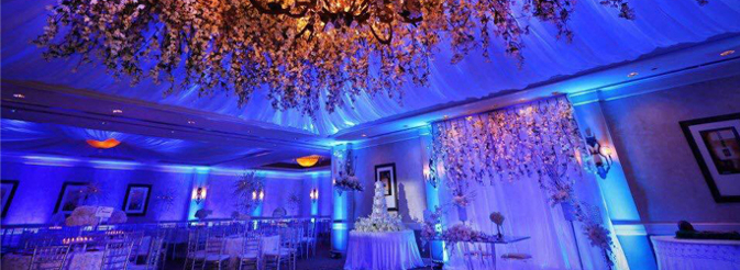 Flower Arrangement White Flowers